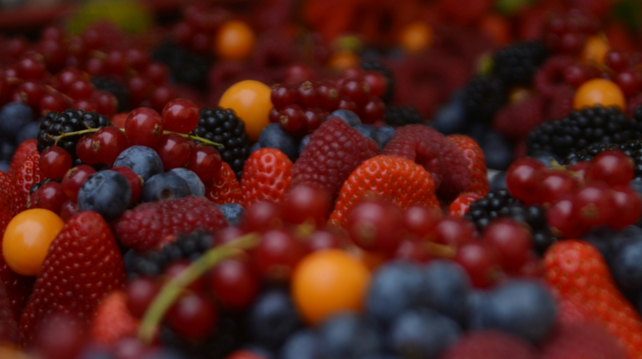 découvrez tous les bienfaits des cranberries, de délicieuses baies rouges riches en antioxydants, et apprenez comment les incorporer dans votre alimentation quotidienne.