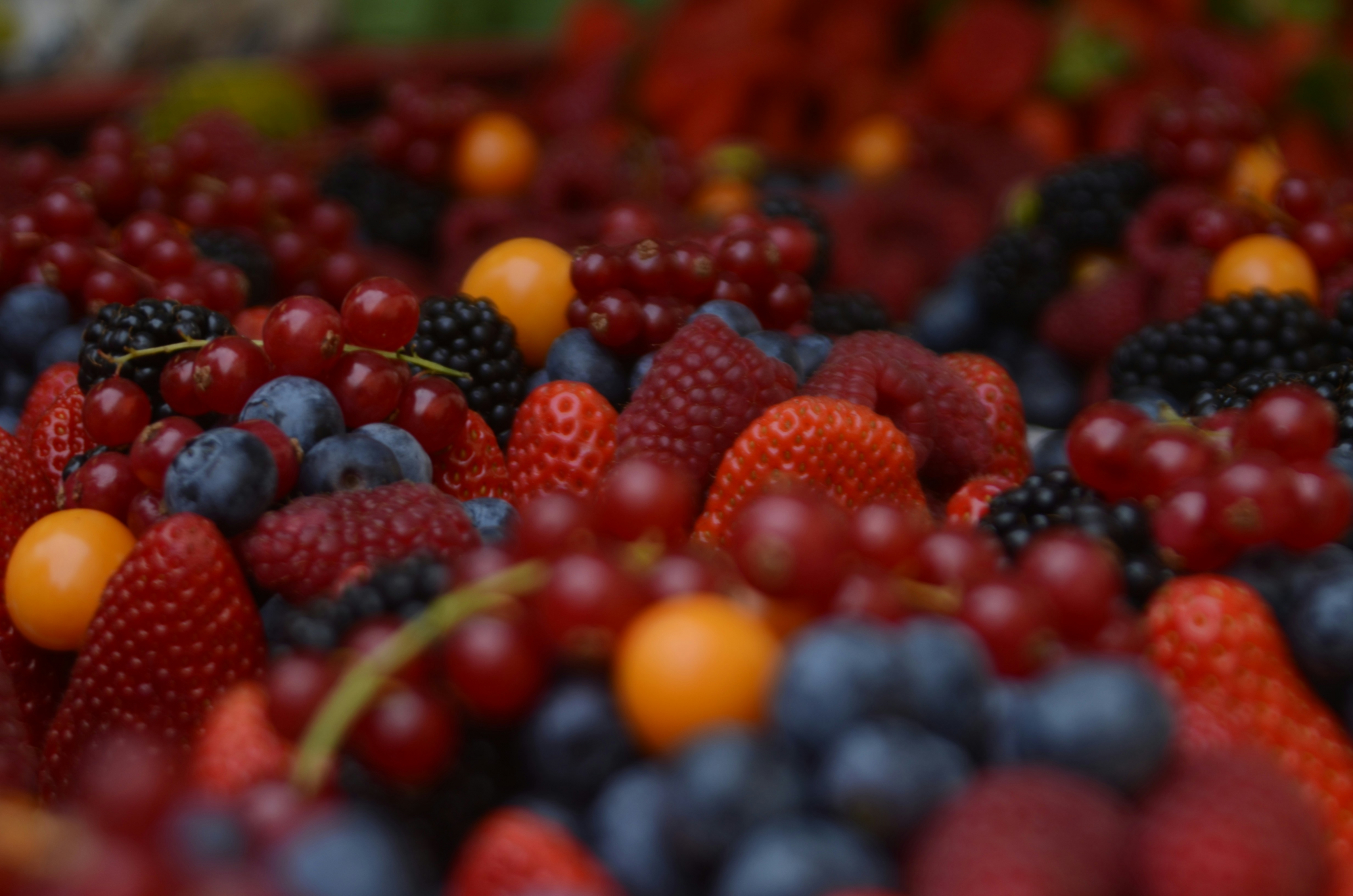 découvrez tous les bienfaits des cranberries, de délicieuses baies rouges riches en antioxydants, et apprenez comment les incorporer dans votre alimentation quotidienne.
