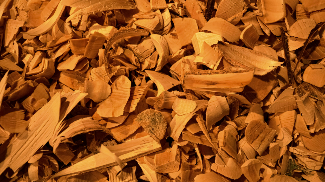 découvrez les secrets et les vertus du bois de cèdre avec notre collection de produits inspirés par la nature et la tradition.