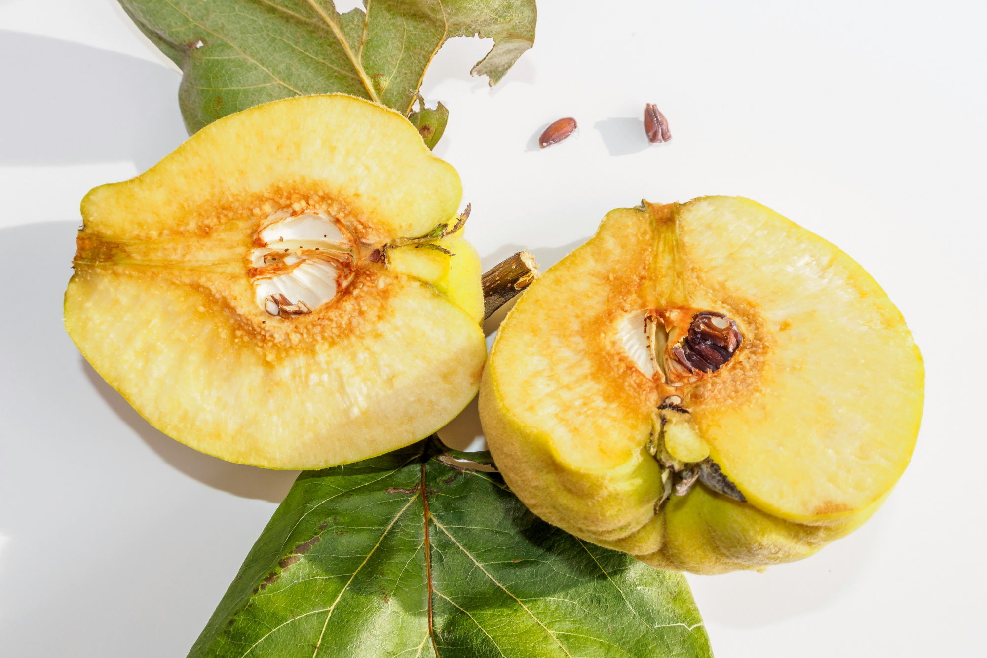 découvrez tout sur le fruit quince : origine, caractéristiques, recettes et bien plus encore. savourez la richesse de ce fruit méconnu.